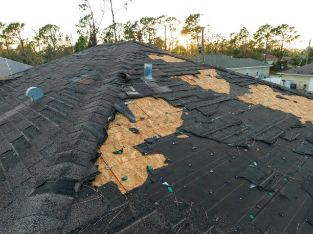 Best Sheet Metal Roofing  in Ninety Six, SC
